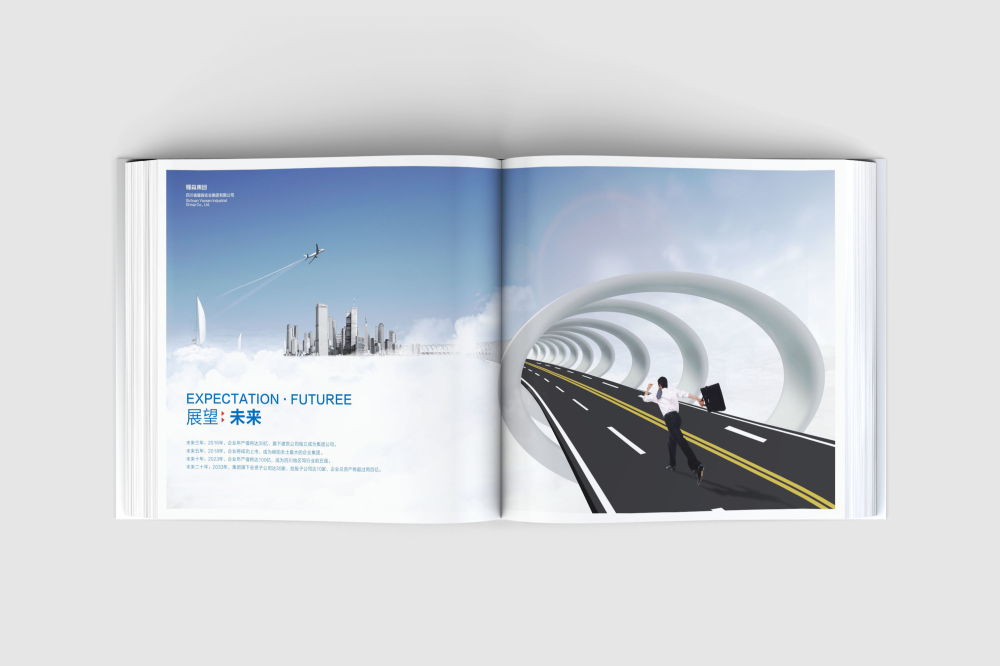 谢家集区画册设计